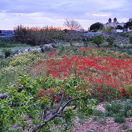 Marazur 公寓 波贾尔多